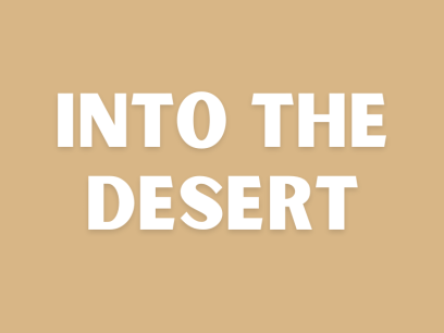 Into the Desert 768x576